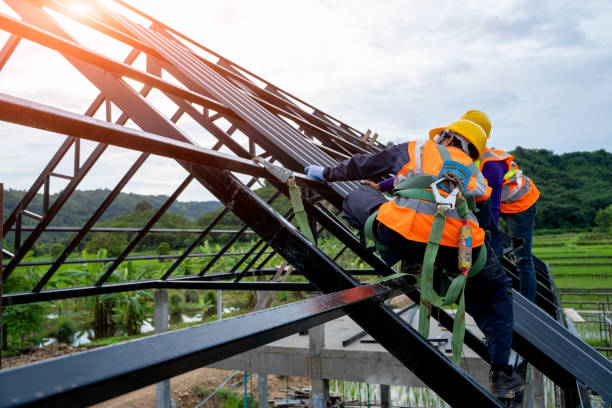 Best Roof Gutter Cleaning  in Dodge City, KS