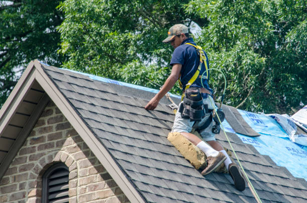 Best Roof Maintenance Services  in Dodge City, KS